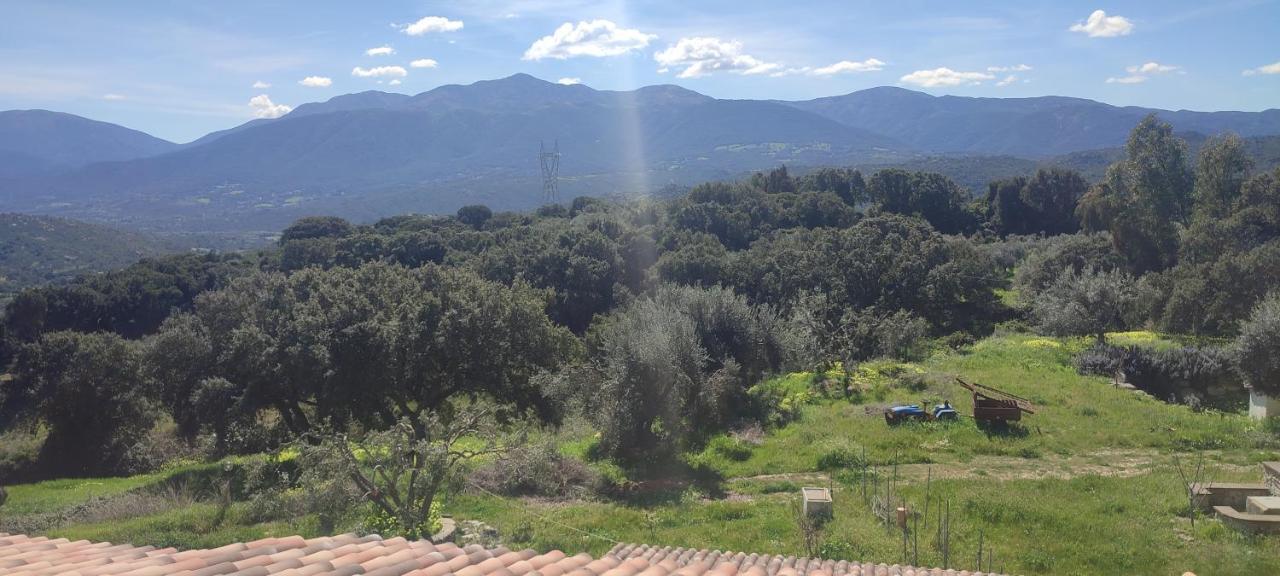 B&B Il Nuraghe Arbus Esterno foto
