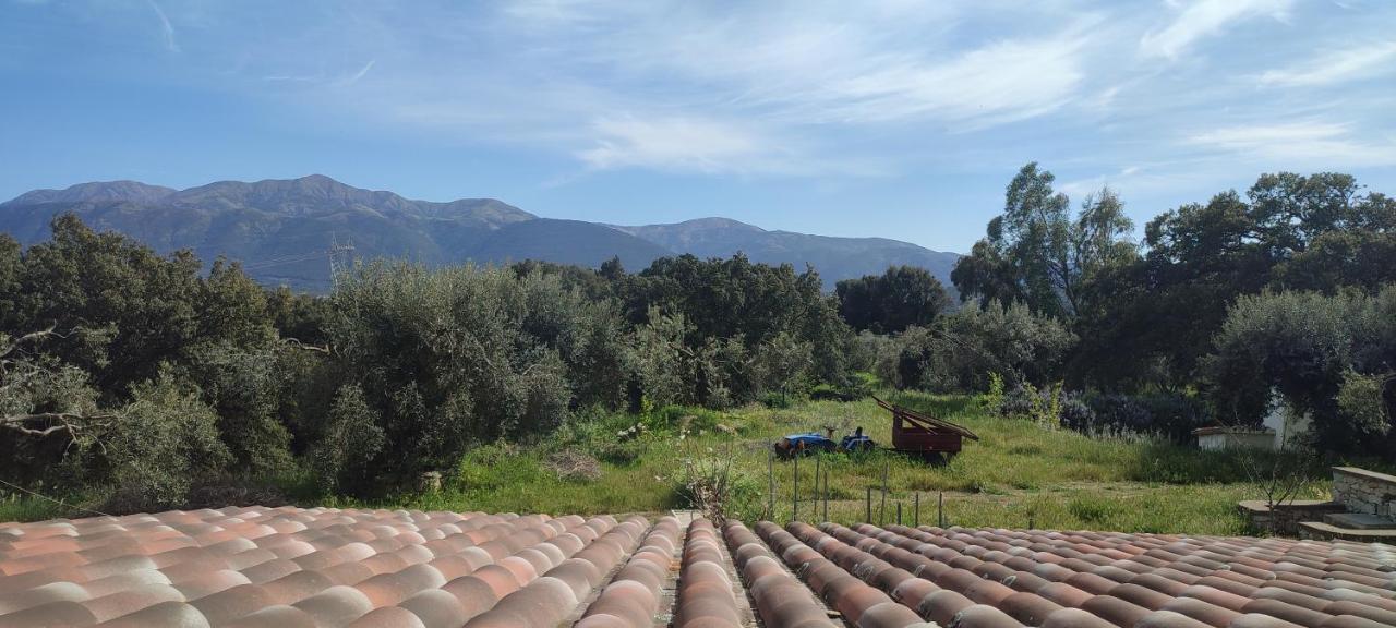 B&B Il Nuraghe Arbus Esterno foto
