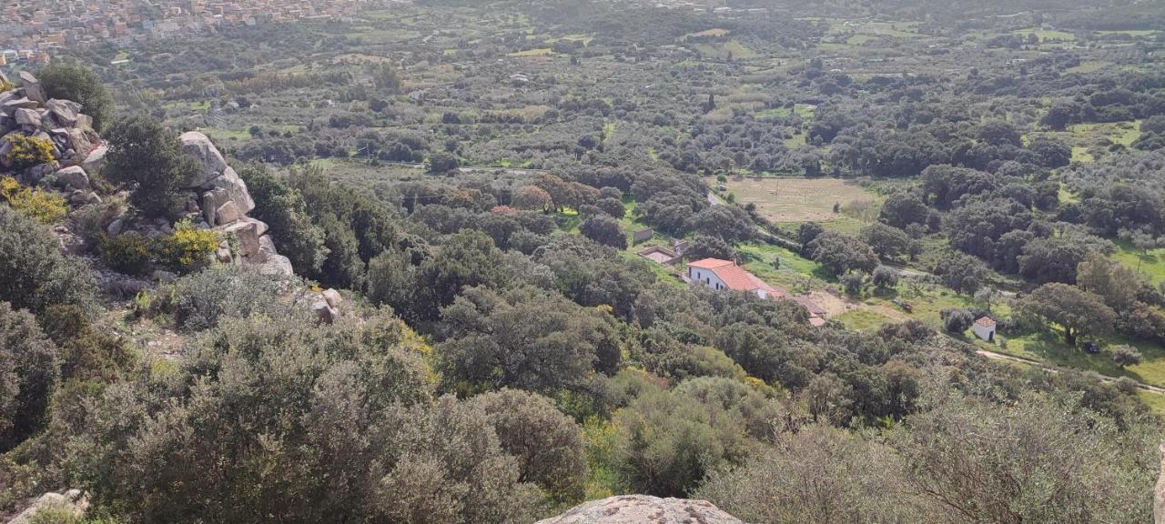 B&B Il Nuraghe Arbus Esterno foto