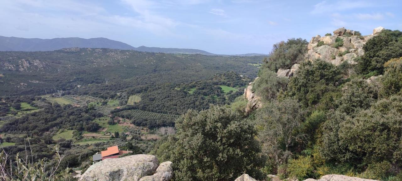 B&B Il Nuraghe Arbus Esterno foto