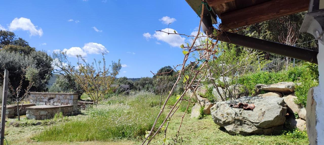 B&B Il Nuraghe Arbus Esterno foto