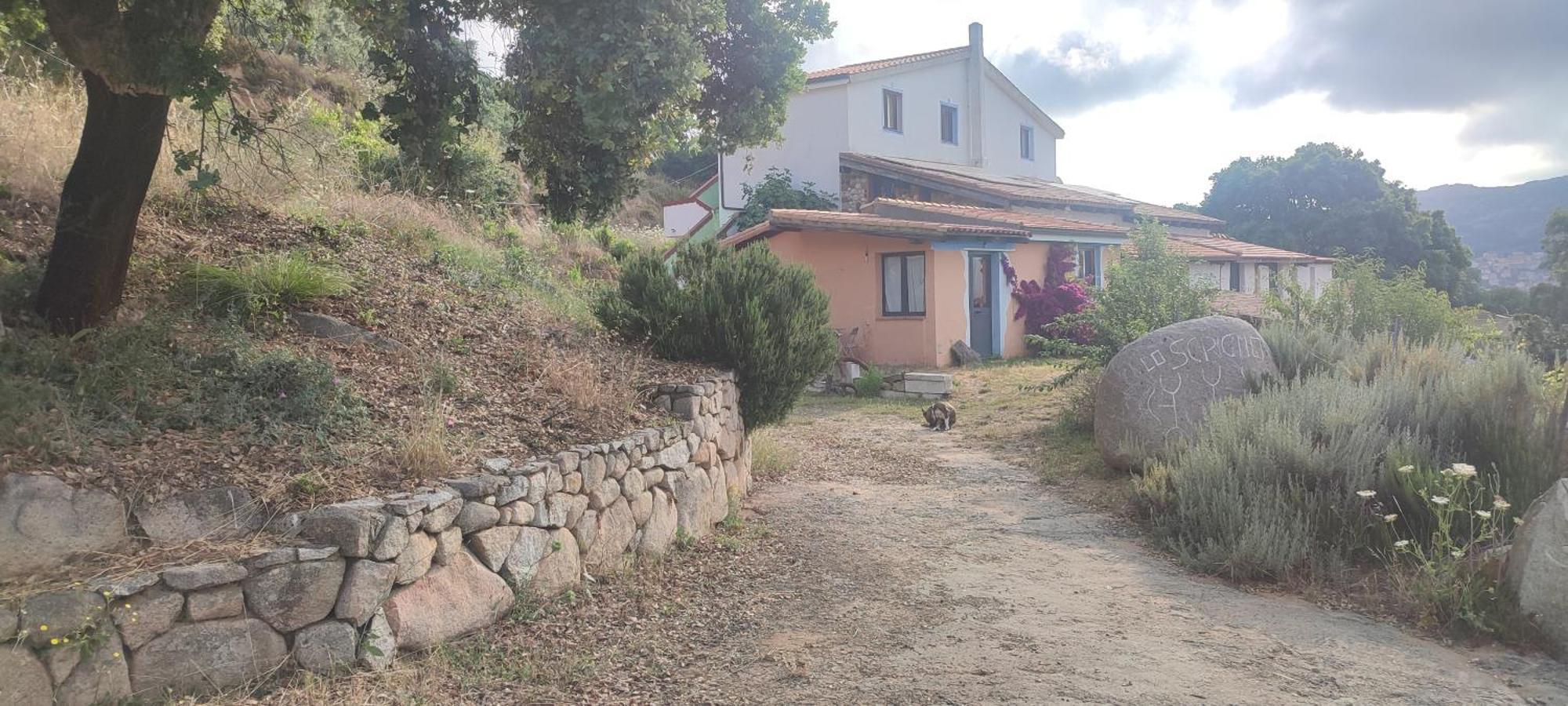 B&B Il Nuraghe Arbus Esterno foto
